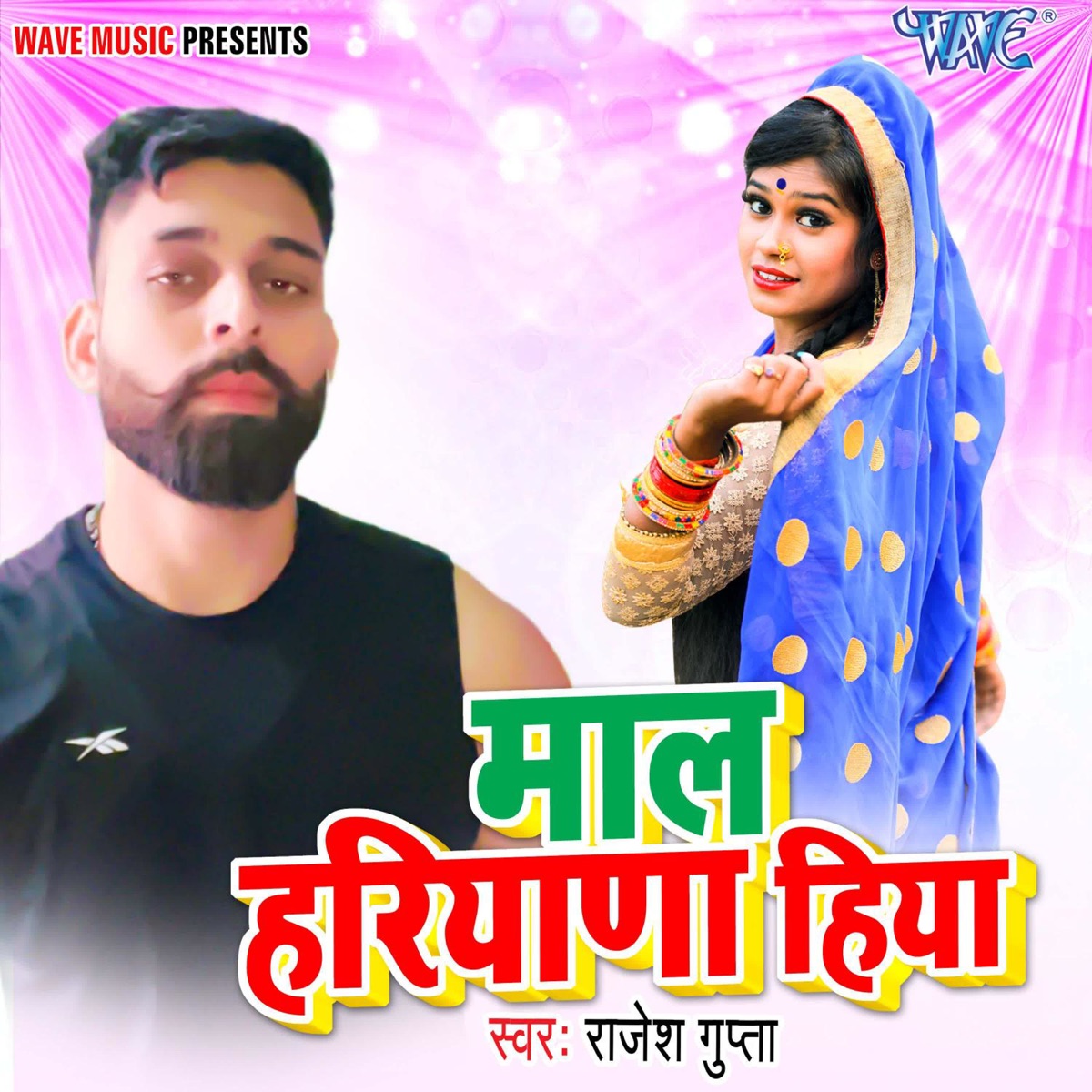 Mal Hariyana Hiya - Single by Rajesh Gupta album cover
