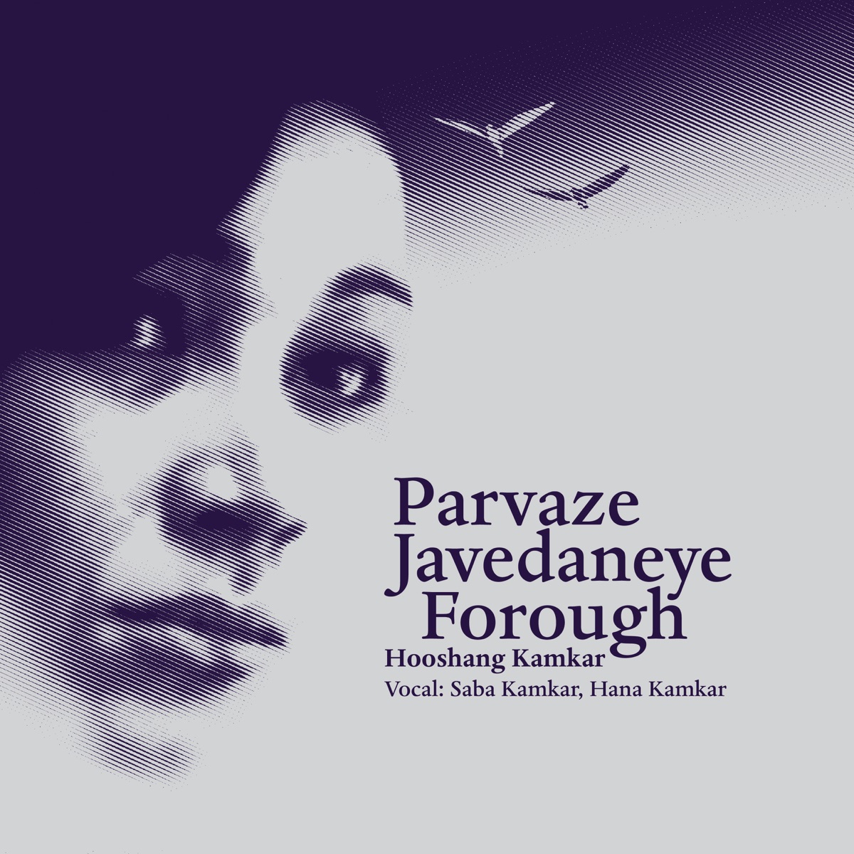Parvaze Javedaneye Forough by Hooshang Kamkar album cover