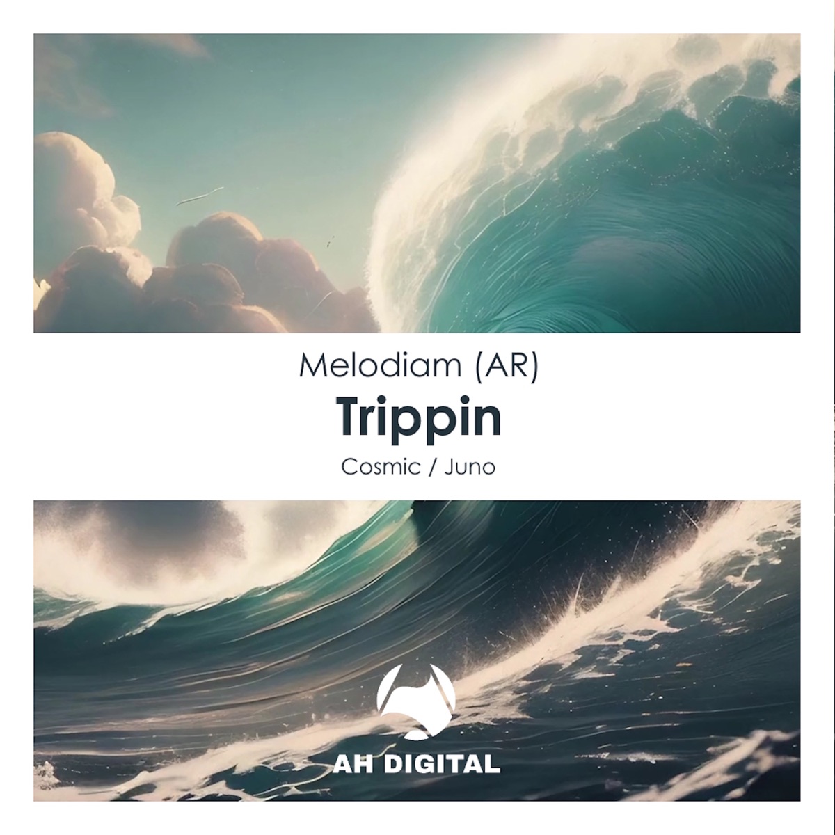 Trippin - Single by Melodiam album cover
