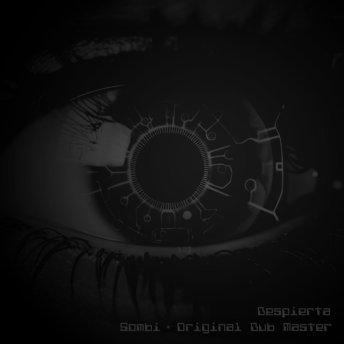 Despierta - Single by Sombi MenteXplicita & Original Dub Master album cover
