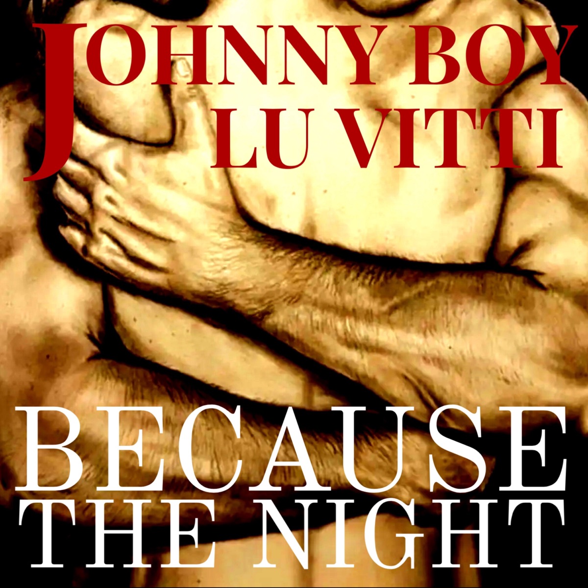 Because the Night - Single by Johnny Boy Chaves & Lu Vitti album cover