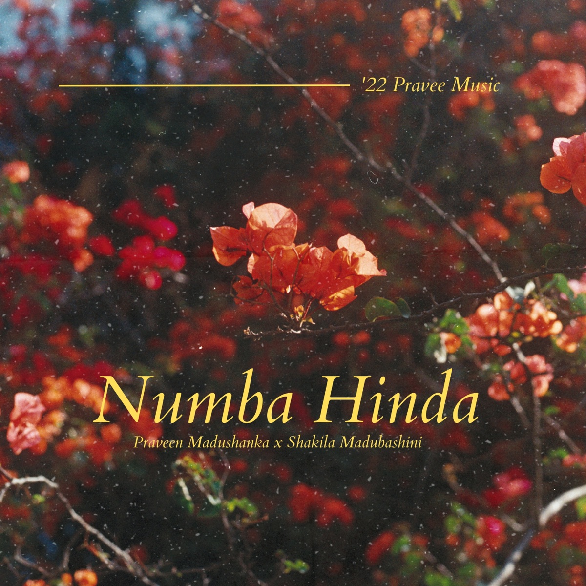 Numba Hinda - Single by Praveen Madhushanka, Yashodha Adhikari & Shakila Madubashani album cover