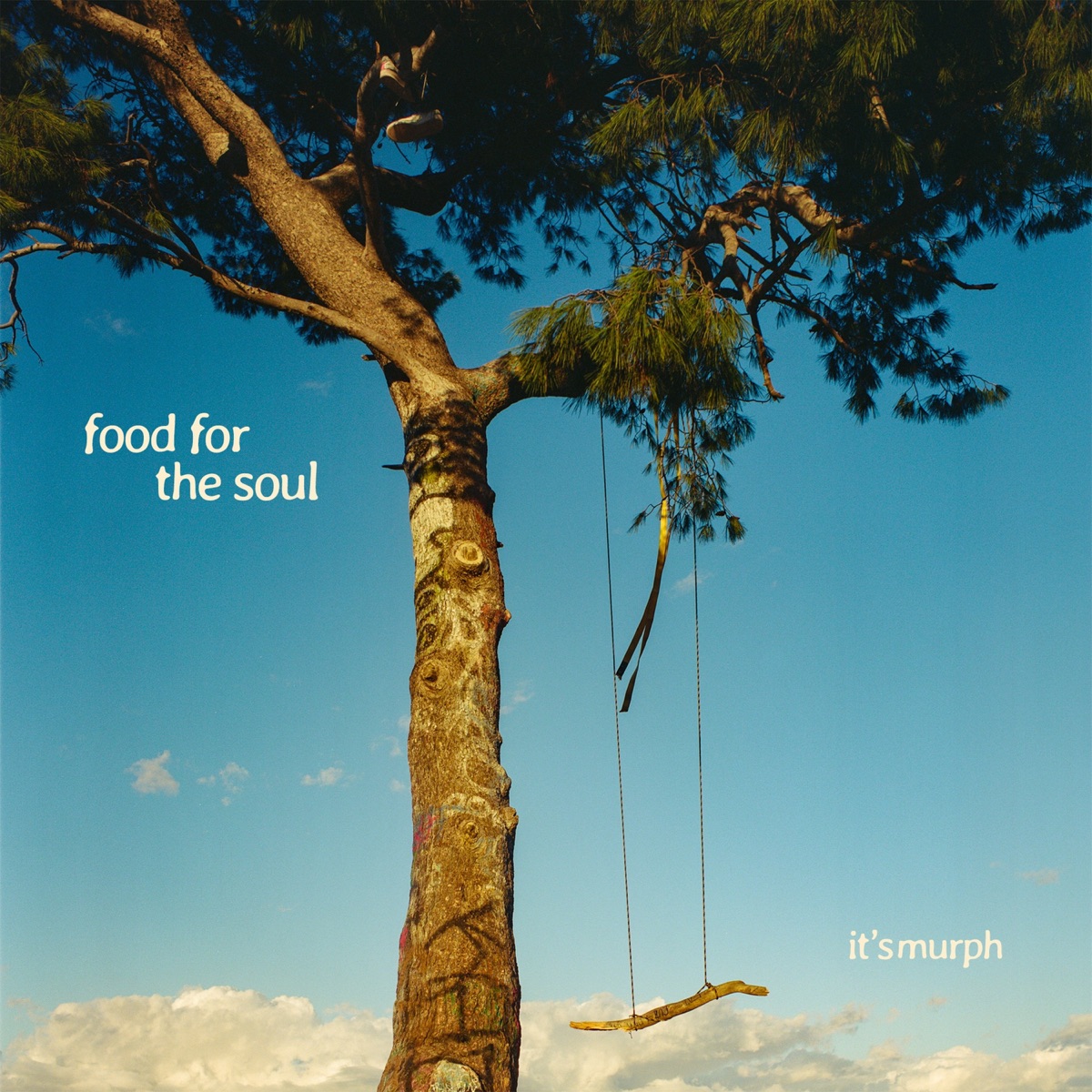 Food for the Soul - Single by it's murph album cover