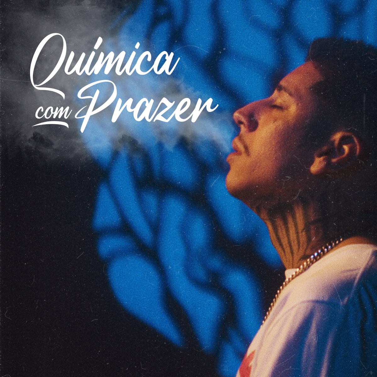 Química Com Prazer - Single by OIK album cover