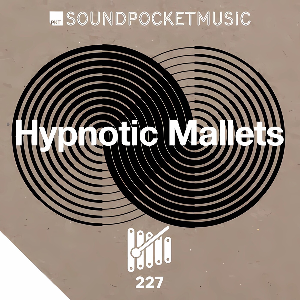 Hypnotic Mallets by Tarek Christopher Modi & Michael Lesirge album cover