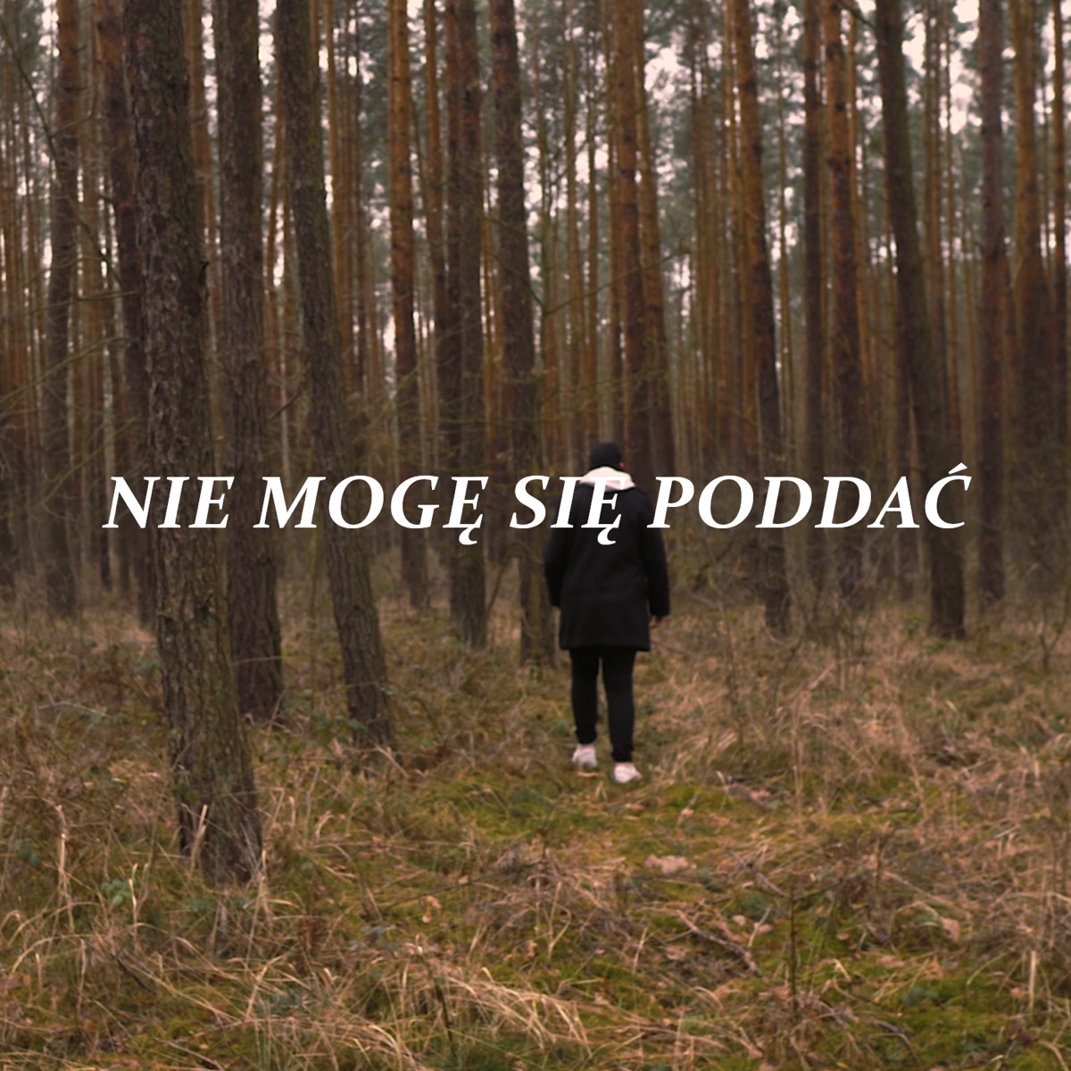 Nie Mogę Się Poddać - Single by Jasny & Trust the Owl album cover