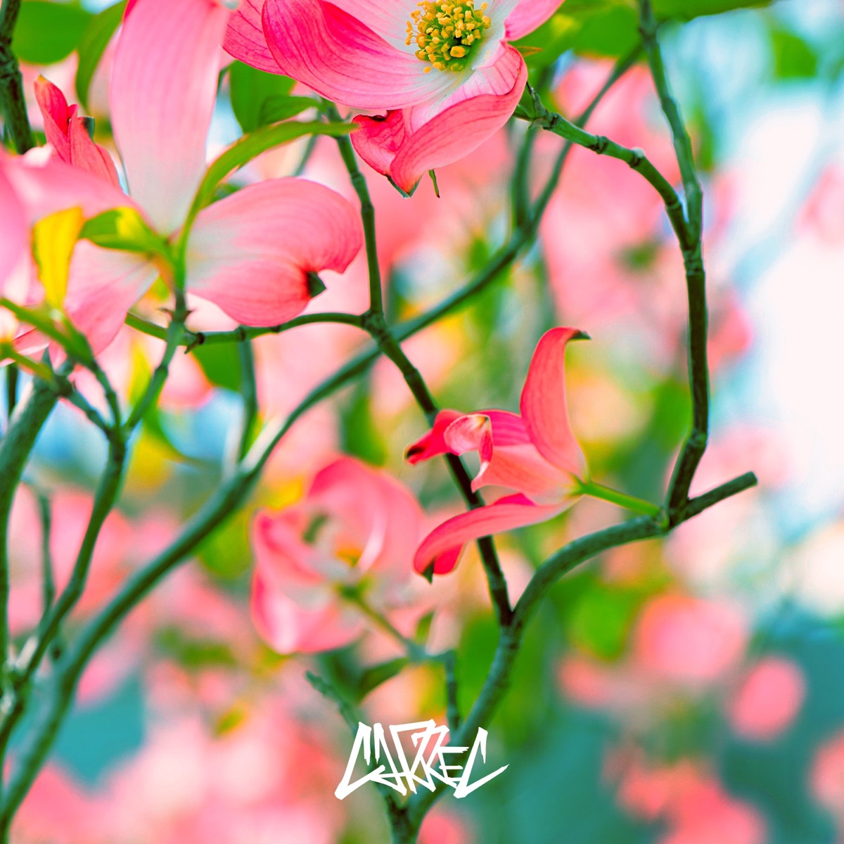 Hanamizuki (feat. Yo Hitoto) [Cover] - Single by CARREC album cover