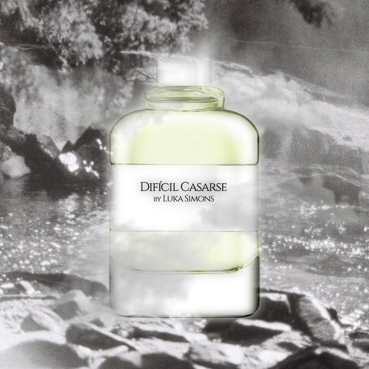 DIFICIL CASARSE (REMIX DJ ALEX BNH) - Single by Luka Simons album cover