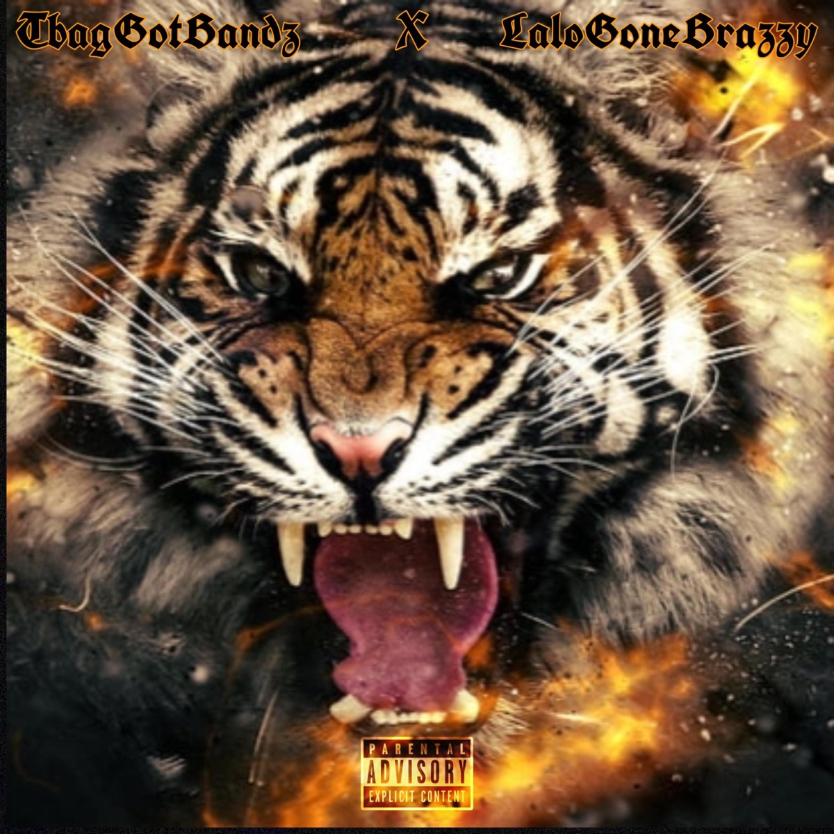 Tiger (feat. Lalogonebrazzy) - Single by TbagGotBandz album cover