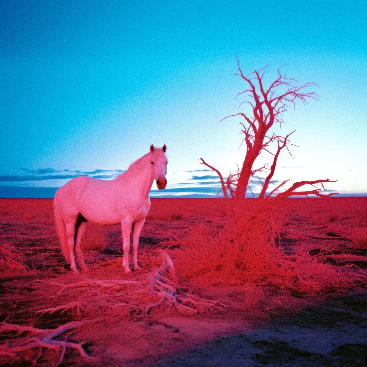 L O W B L O W by indie tribe album cover