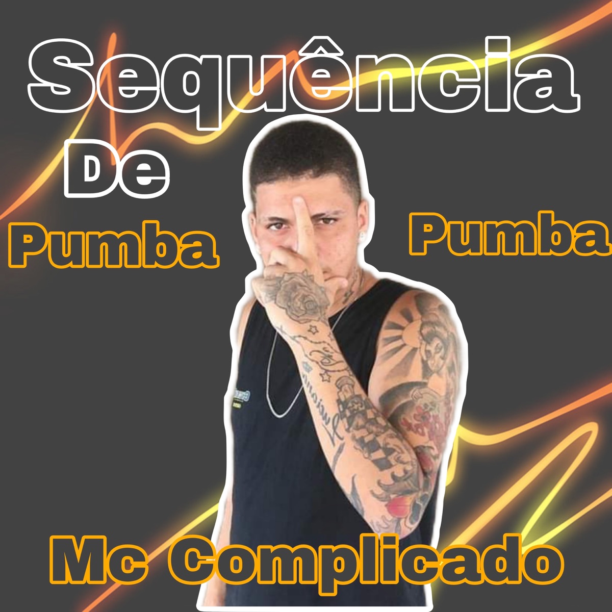 Sequência de Pumba Pumba (feat. Dj Boladão O Terror de Recife) - Single by Mc Complicado album cover