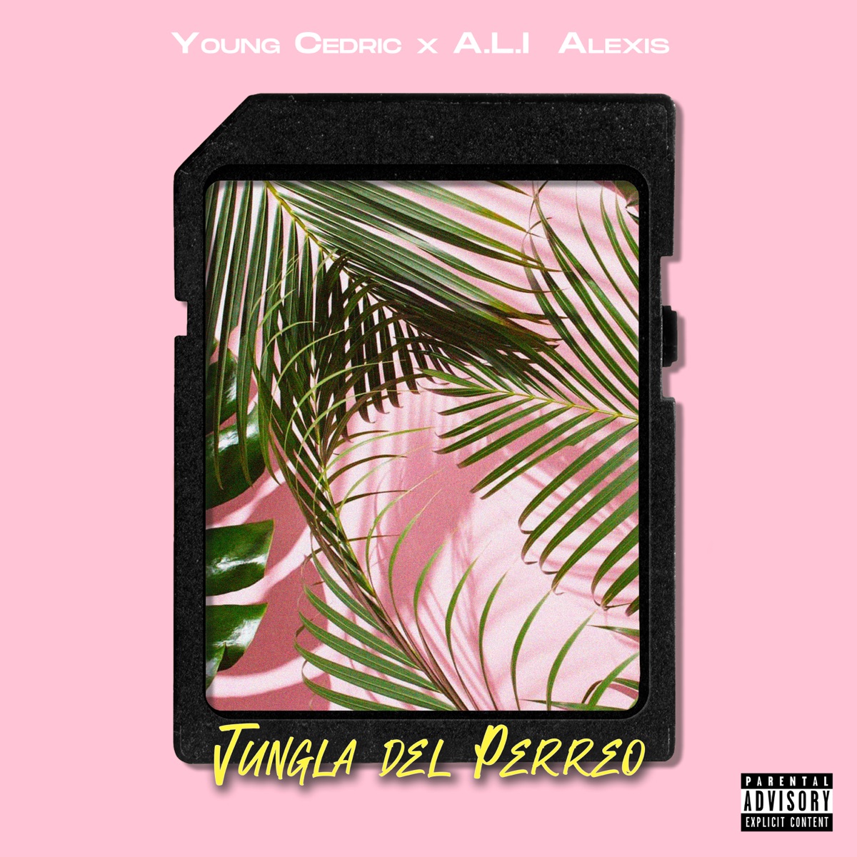 Jungla del Perreo - Single by Young Cedric & A.L.I Alexis album cover