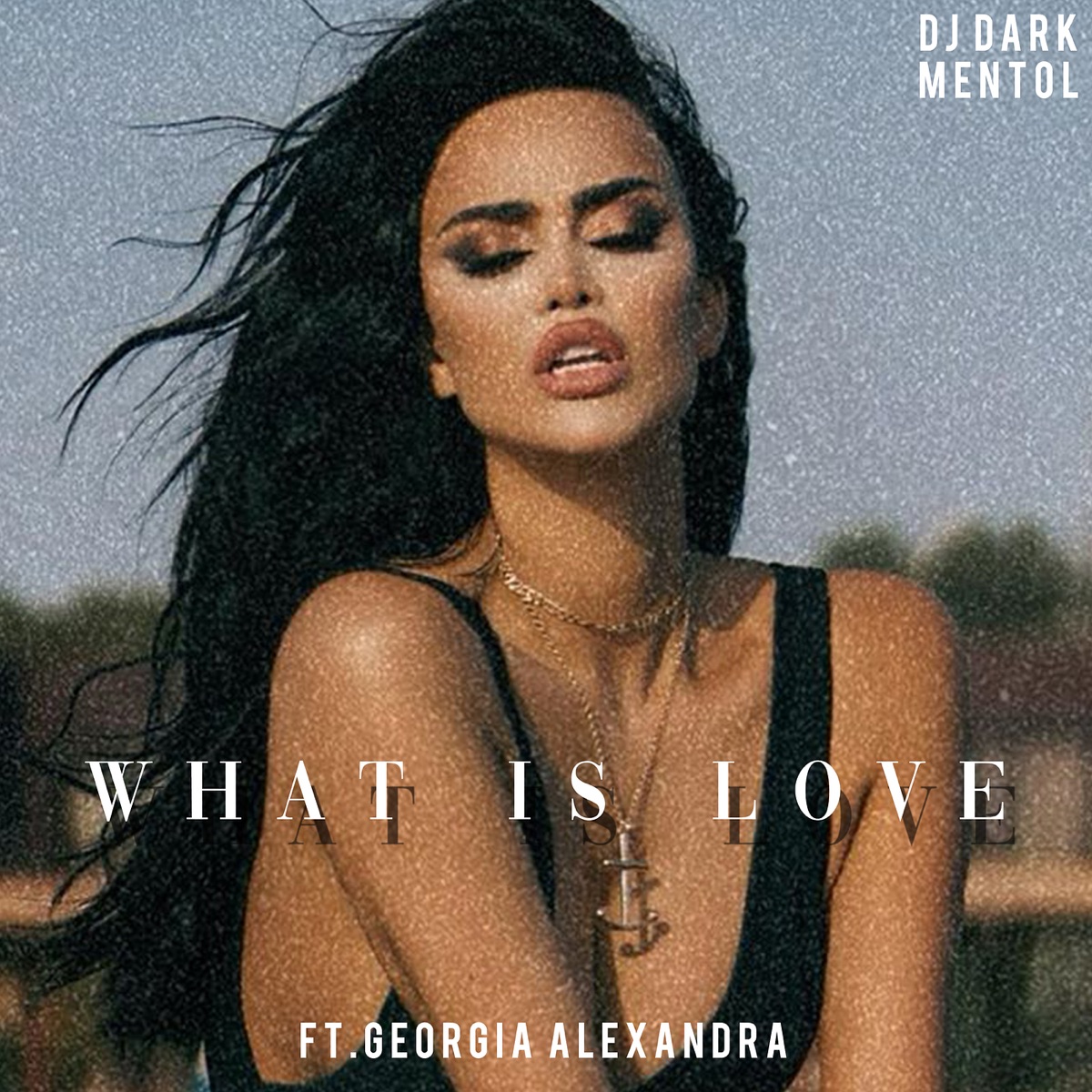 What Is Love - Single by Dj Dark & Mentol album cover