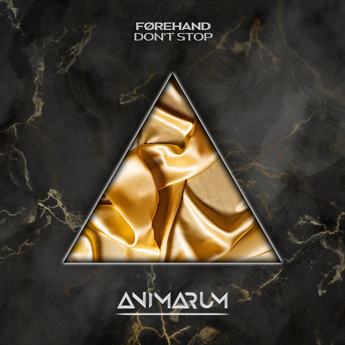 Don't Stop - Single by Førehand album cover