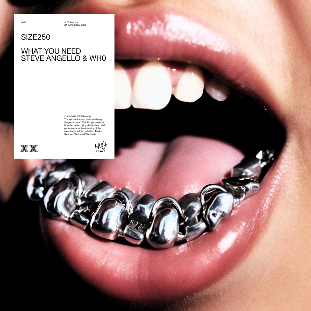 What You Need - Single by Steve Angello & Wh0 album cover