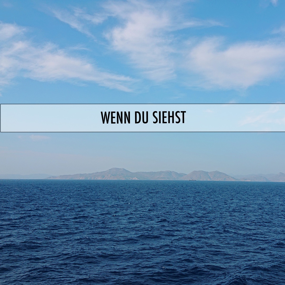 Wenn du siehst (feat. Freezy Trap) - Single by Izzwo album cover