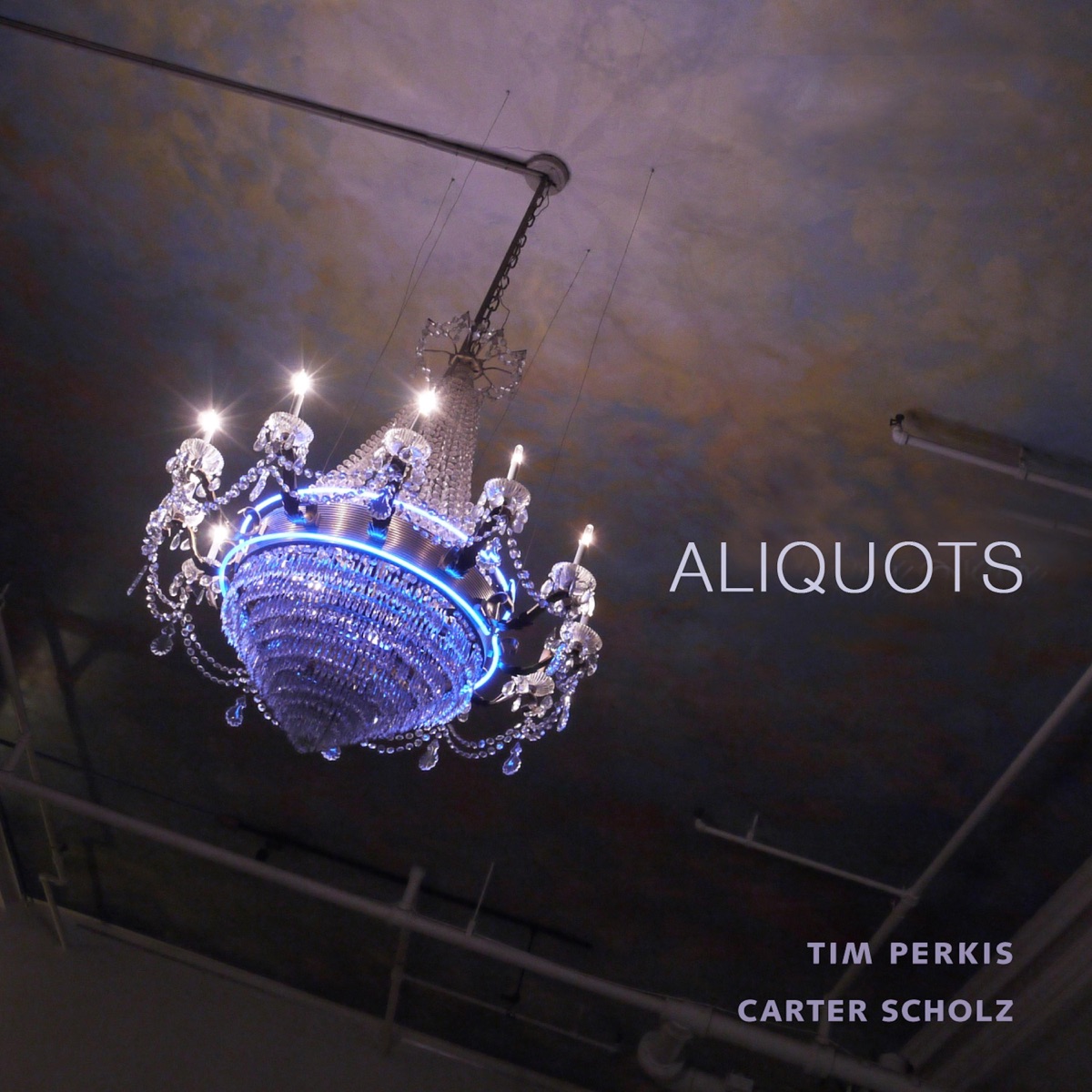 Aliquots (feat. Carter Scholz) by Tim Perkis album cover