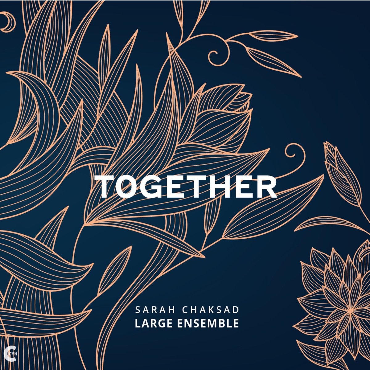 Together (feat. Misagh Joolaee, Yumi Ito, Christoph Bösch, Fabian Willmann, Catherine Delaunay, Hildegunn Øiseth, Paco Andréo, Lukas Wyss, Sophia Nidecker, Julia Hülsmann, Fabio Gouvea, Dominique Girod & Eva Klesse) - Single by Sarah Chaksad album cover