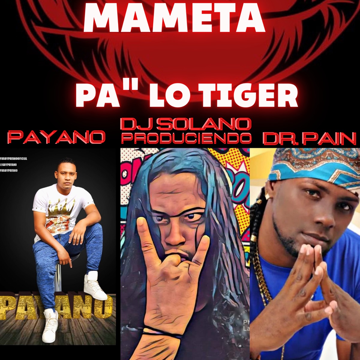 Mameta Pa Lo Tiger (feat. Payano & Dr Pain) - Single by dj solano produciendo album cover
