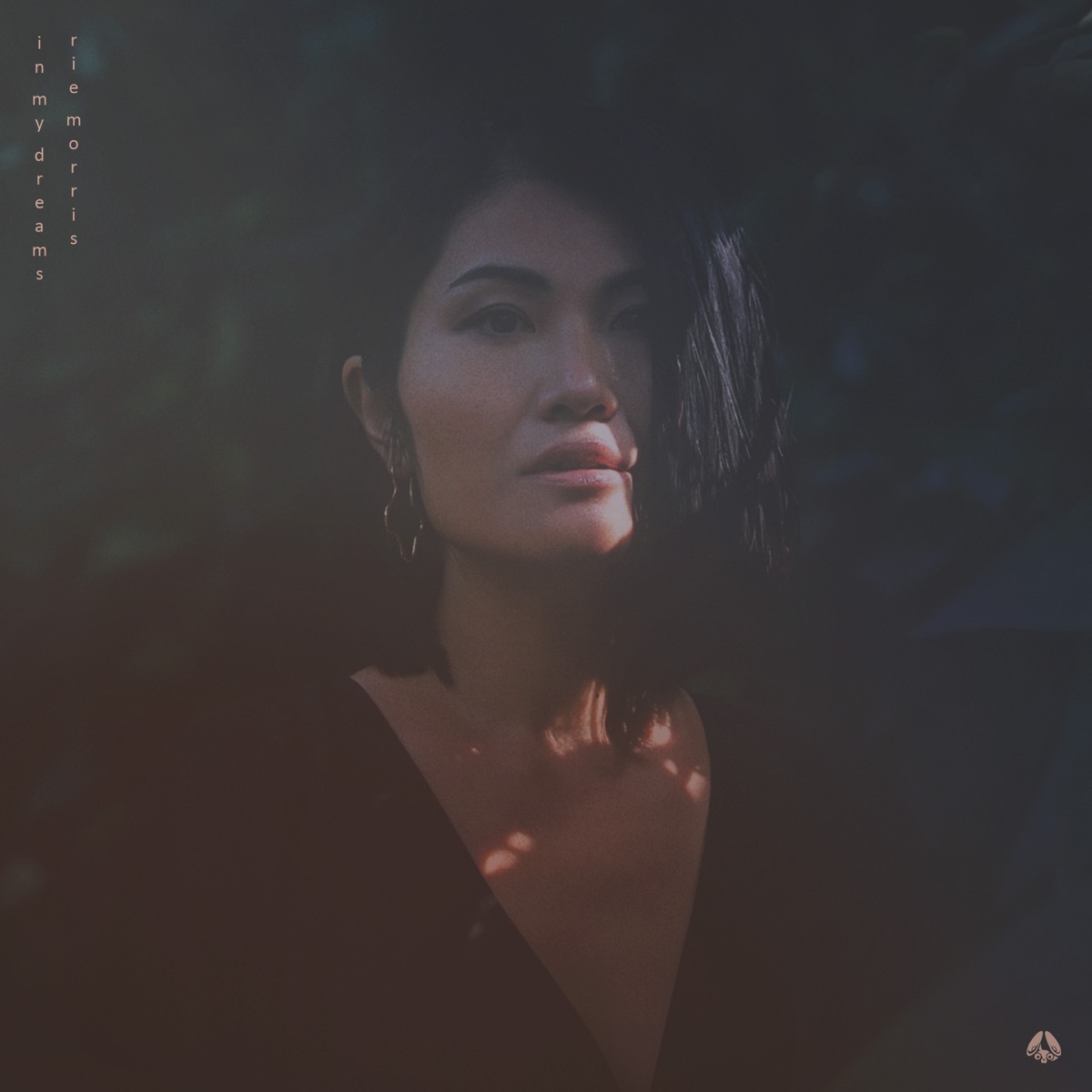 In My Dreams - EP by RiE MORRiS album cover