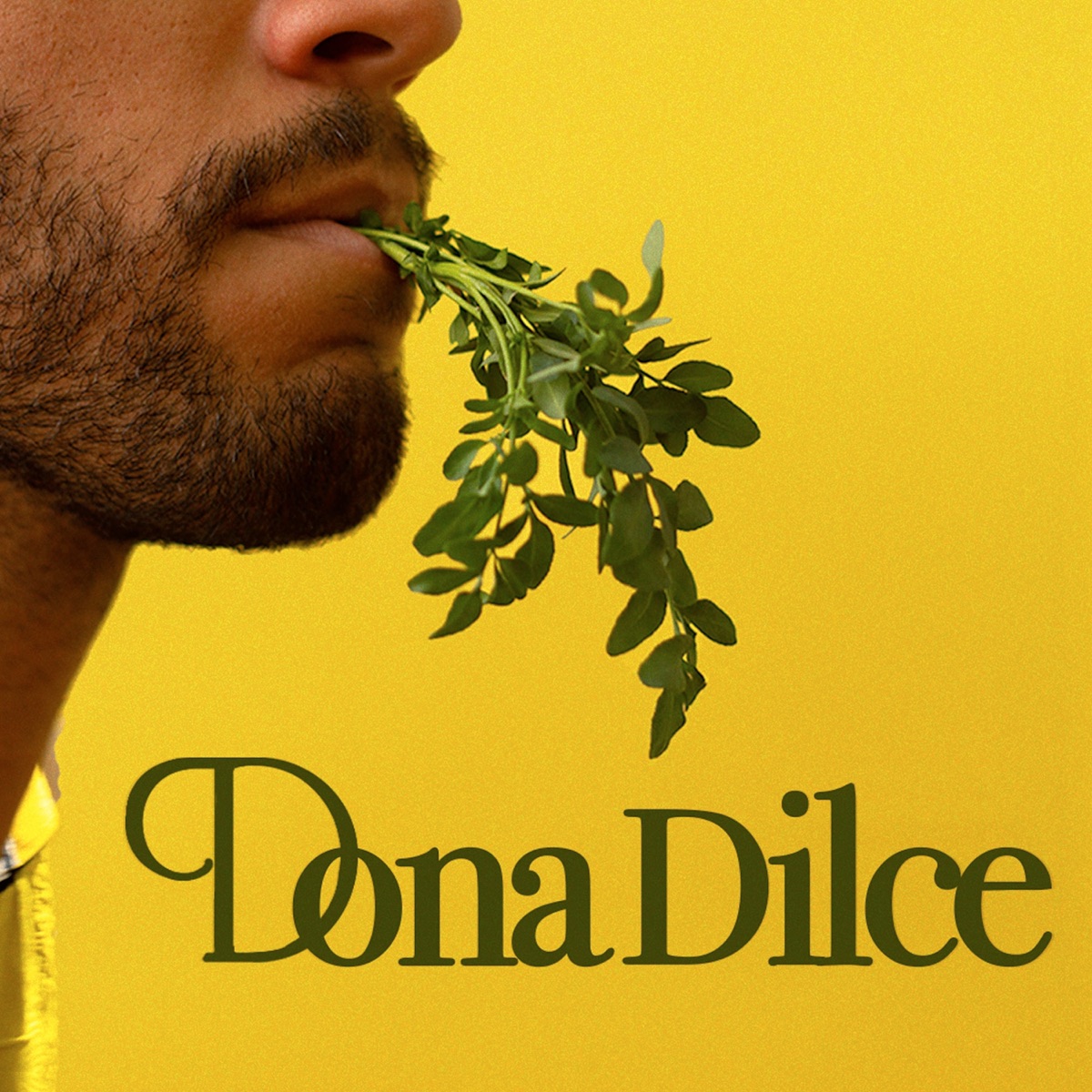 Dona Dilce - Single by João Albino album cover