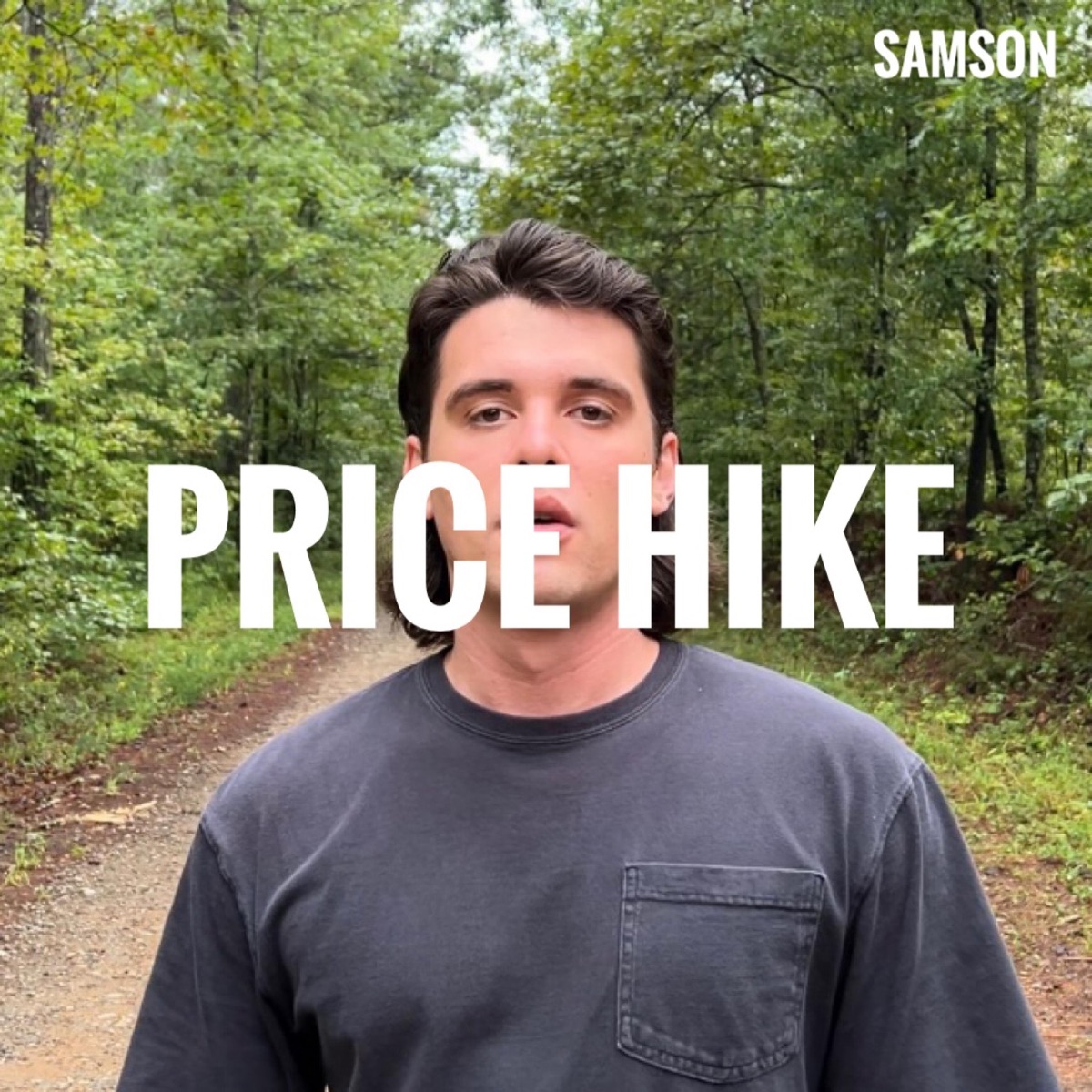 Price Hike - Single by The Real Samson album cover