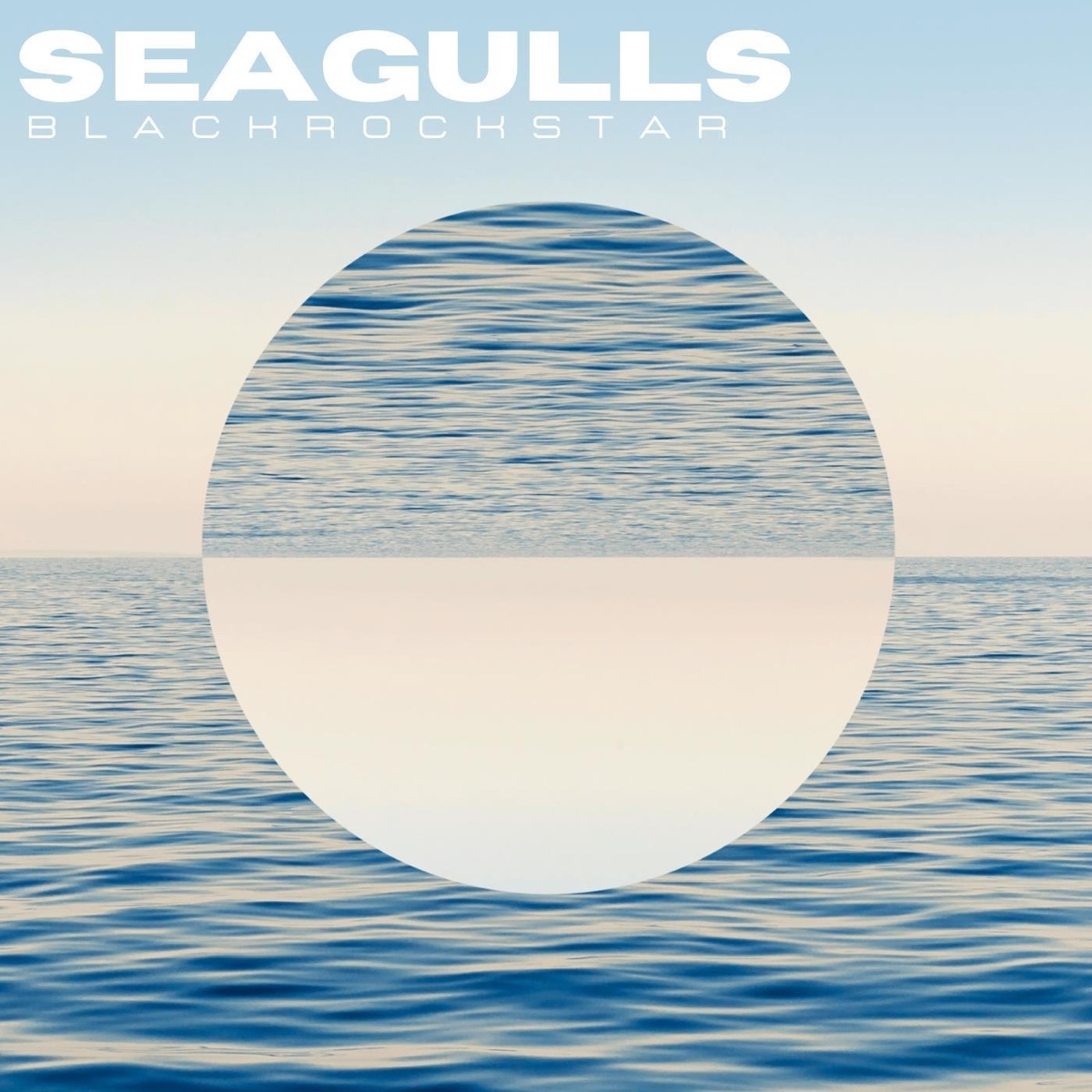 Seagulls - Single by Blackrockstar album cover