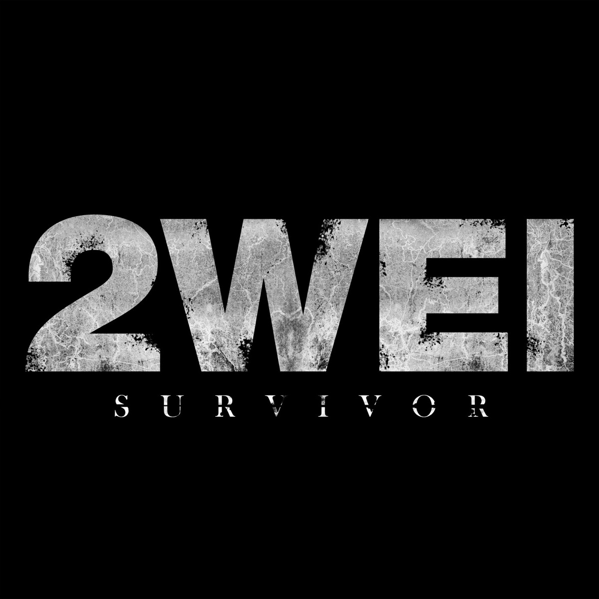 Survivor - Single by 2WEI album cover