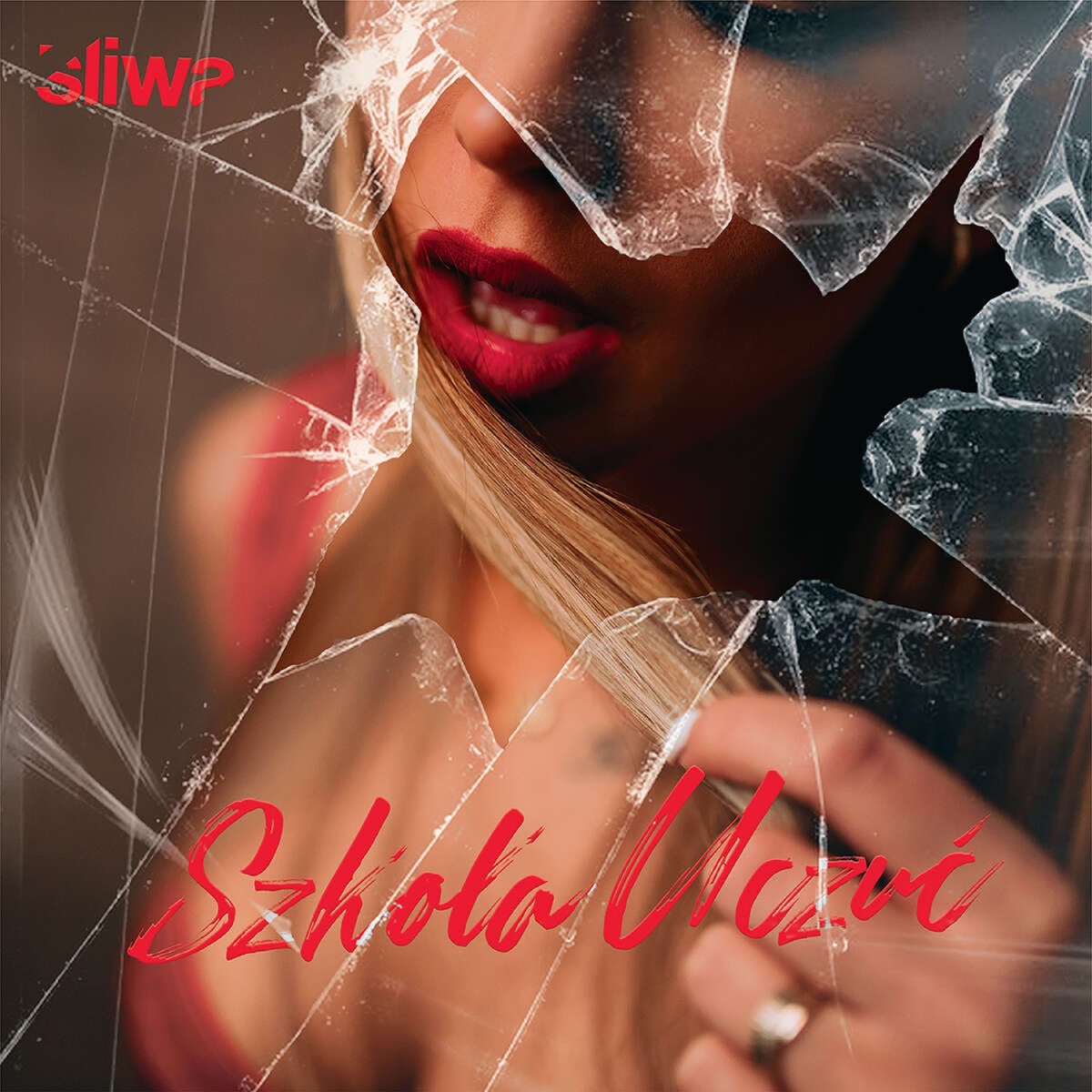 Szkoła Uczuć by Śliwa album cover