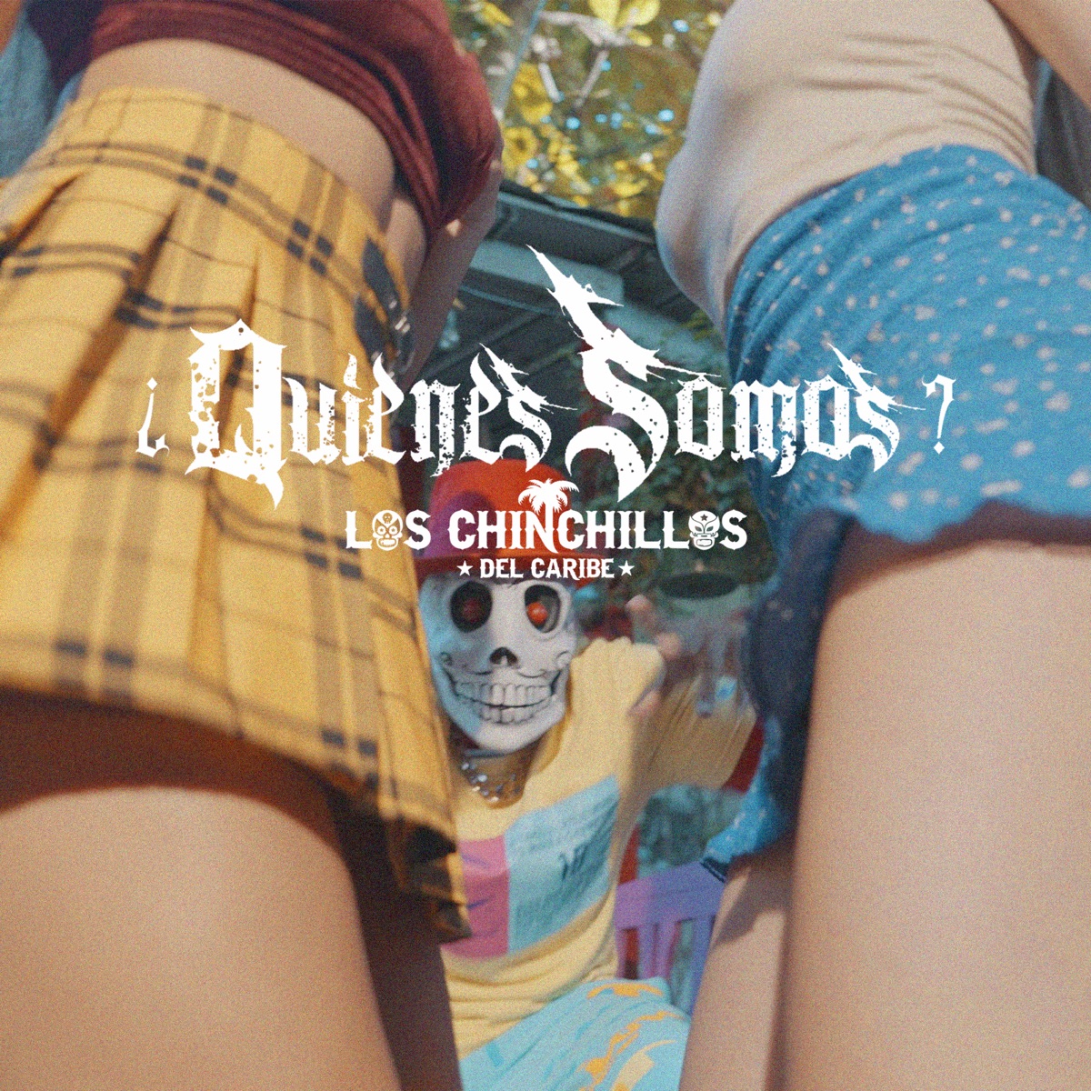 Quienes Somos? - Single by Los Chinchillos Del Caribe album cover