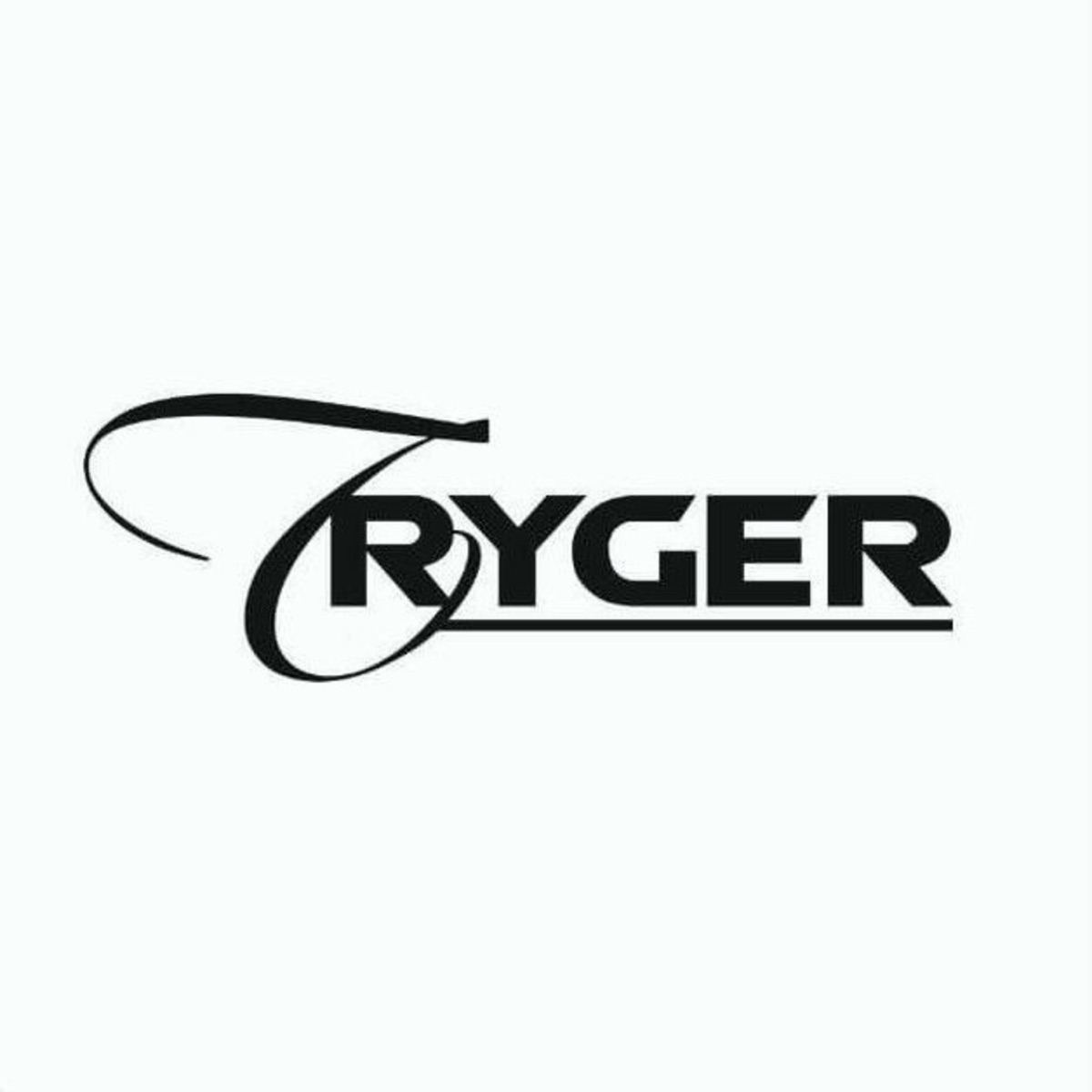 In Progress (DJ Mix) by Tryger album cover
