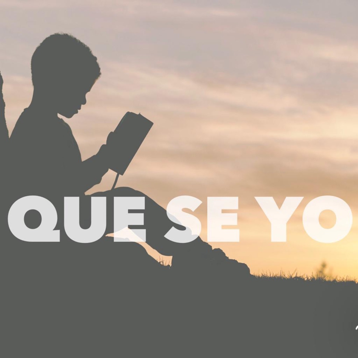 Qué Se Yo - Single by La Santa Grifa album cover