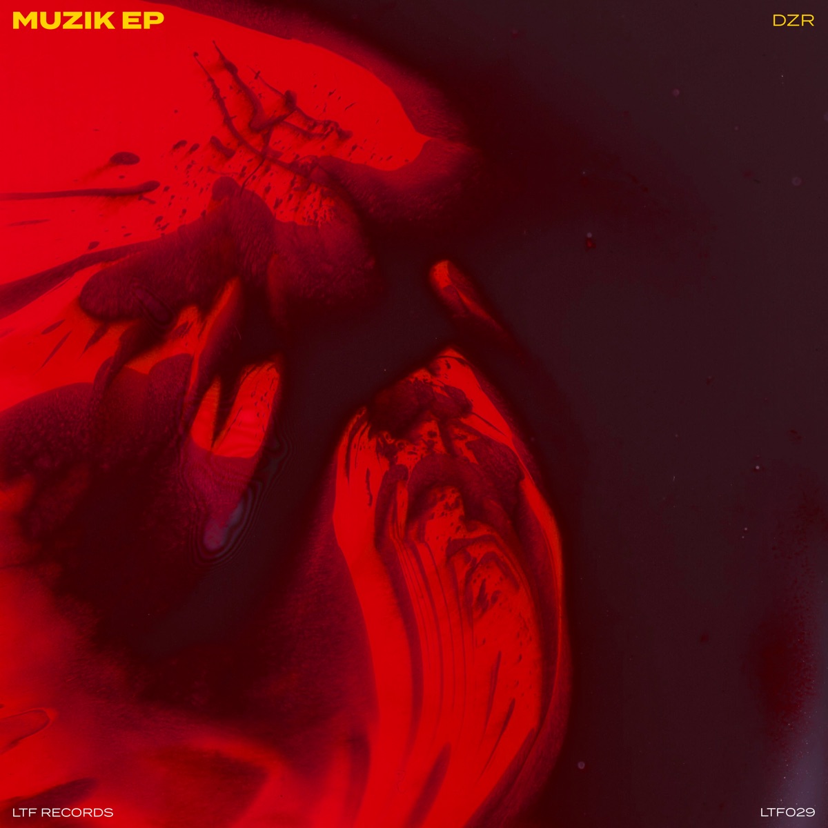 Muzik / Rockit Ep by DZR album cover