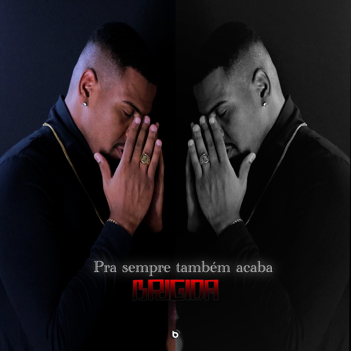 Pra Sempre Também Acaba - Single by Brígida album cover