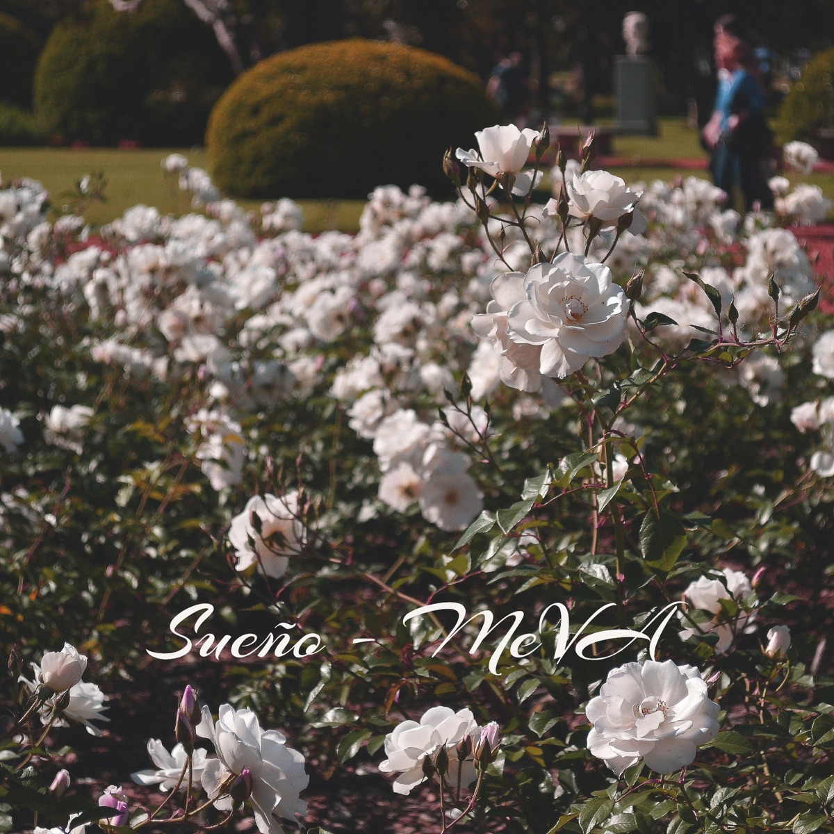 Sueño (Acoustic Version) - Single by Meva album cover