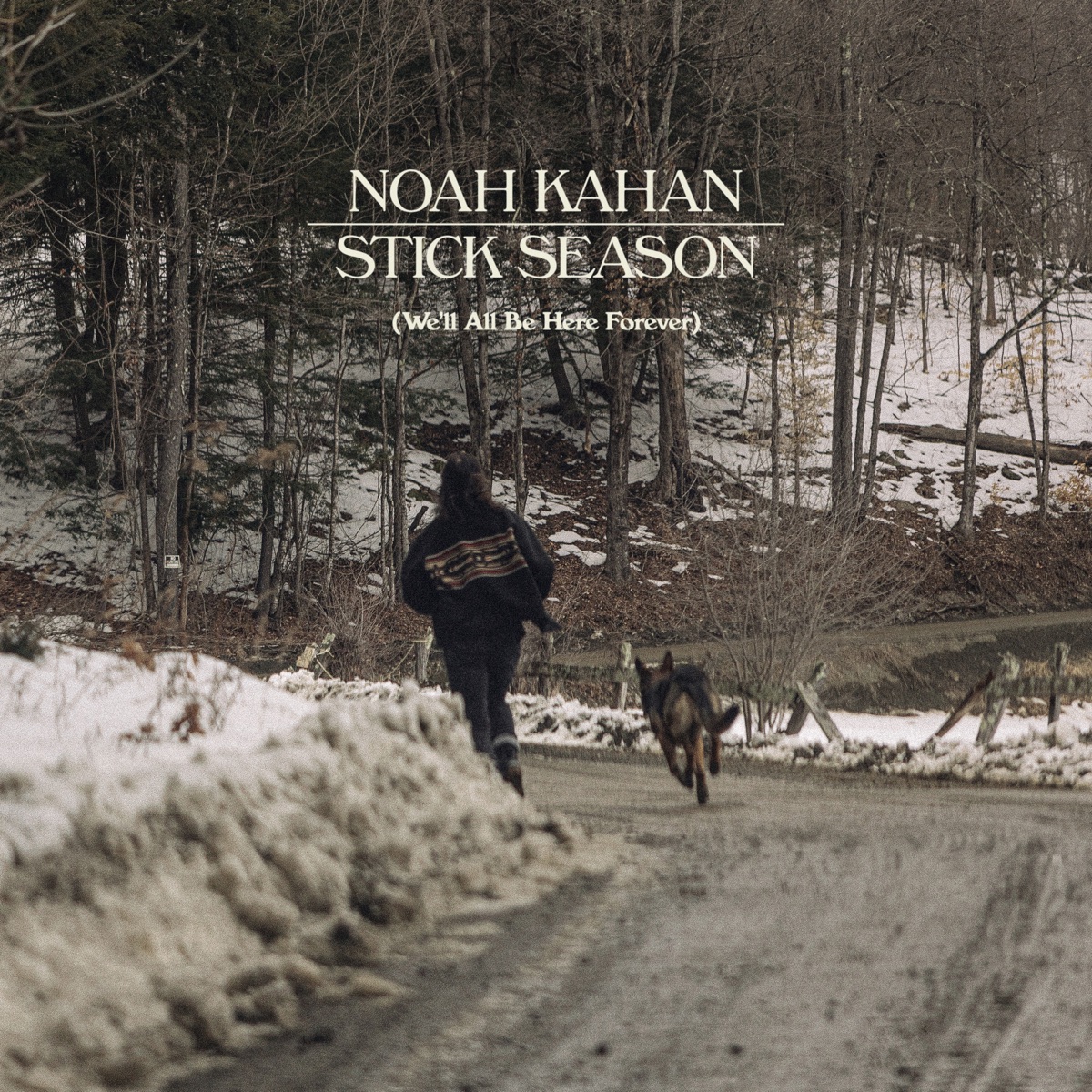 Stick Season (We'll All Be Here Forever) by Noah Kahan album cover