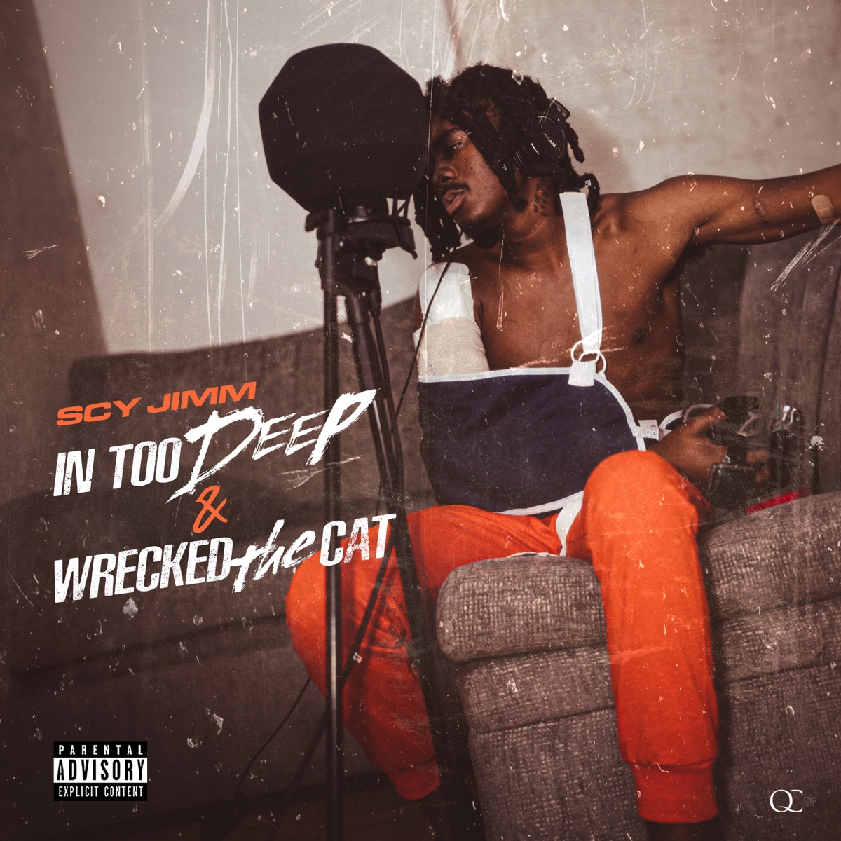 In Too Deep / Wrecked The Cat - Single by SCY Jimm album cover
