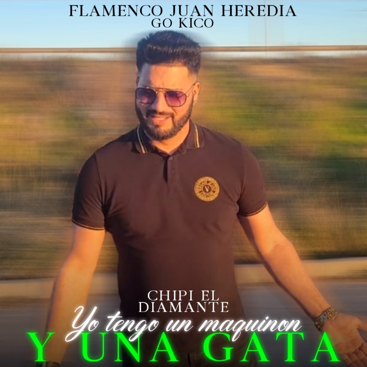 Yo Tengo un Maquinón y una Gata - Single by Go Kico, Flamenco Juan Heredia & Chipi el diamante album cover