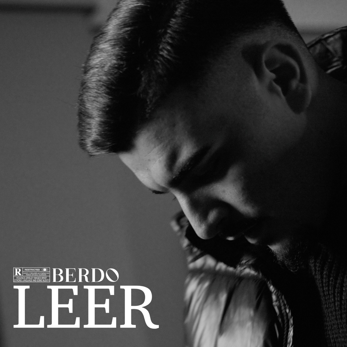 Leer - Single by BERDO album cover