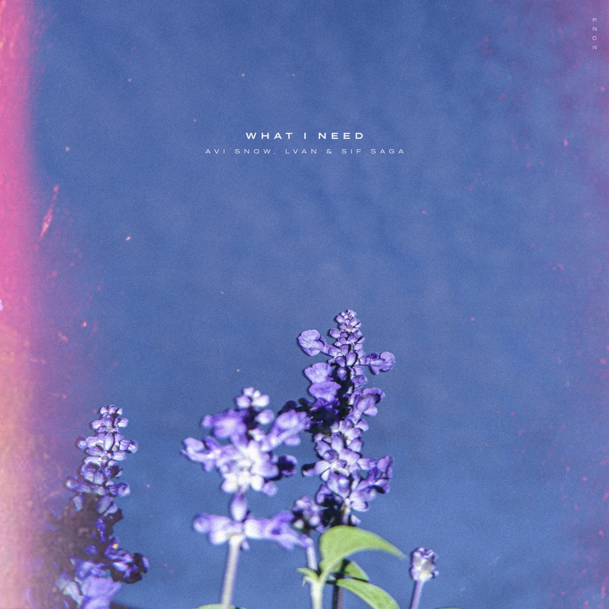 What I Need - Single by Avi Snow, LVAN & Sif Saga album cover