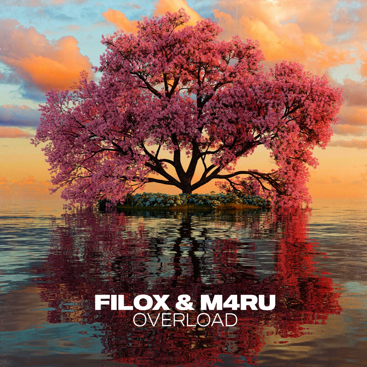 Overload - Single by Filox & M4RU album cover