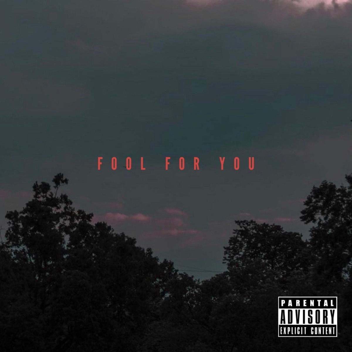 Fool For You (feat. Lina Dono) - Single by Emdee Wright album cover