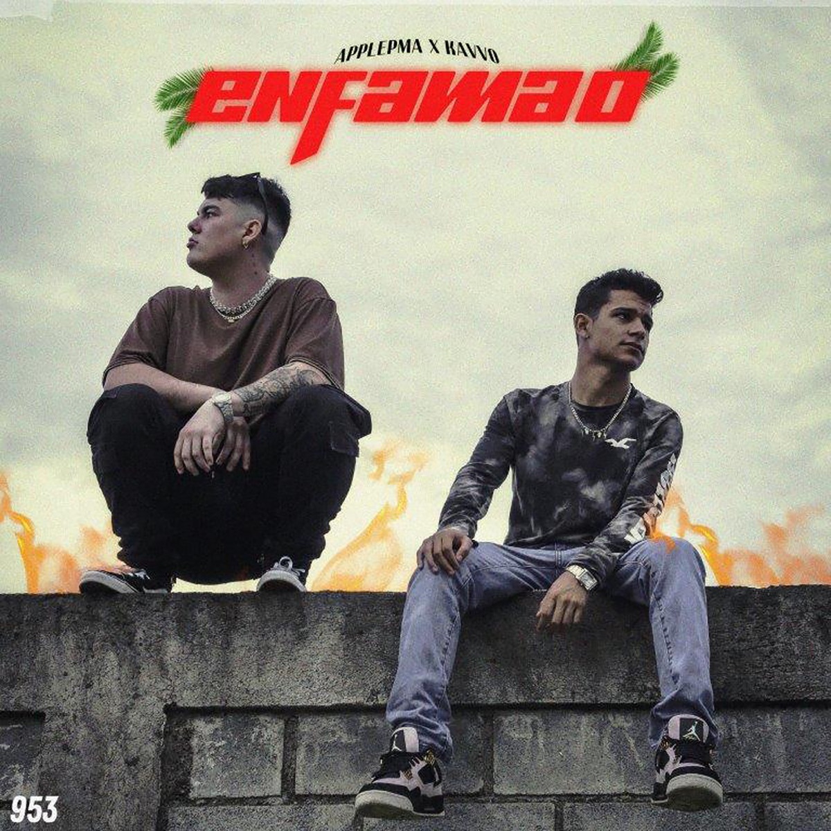 Enfamao - Single by ApplePMA & KAVVO album cover