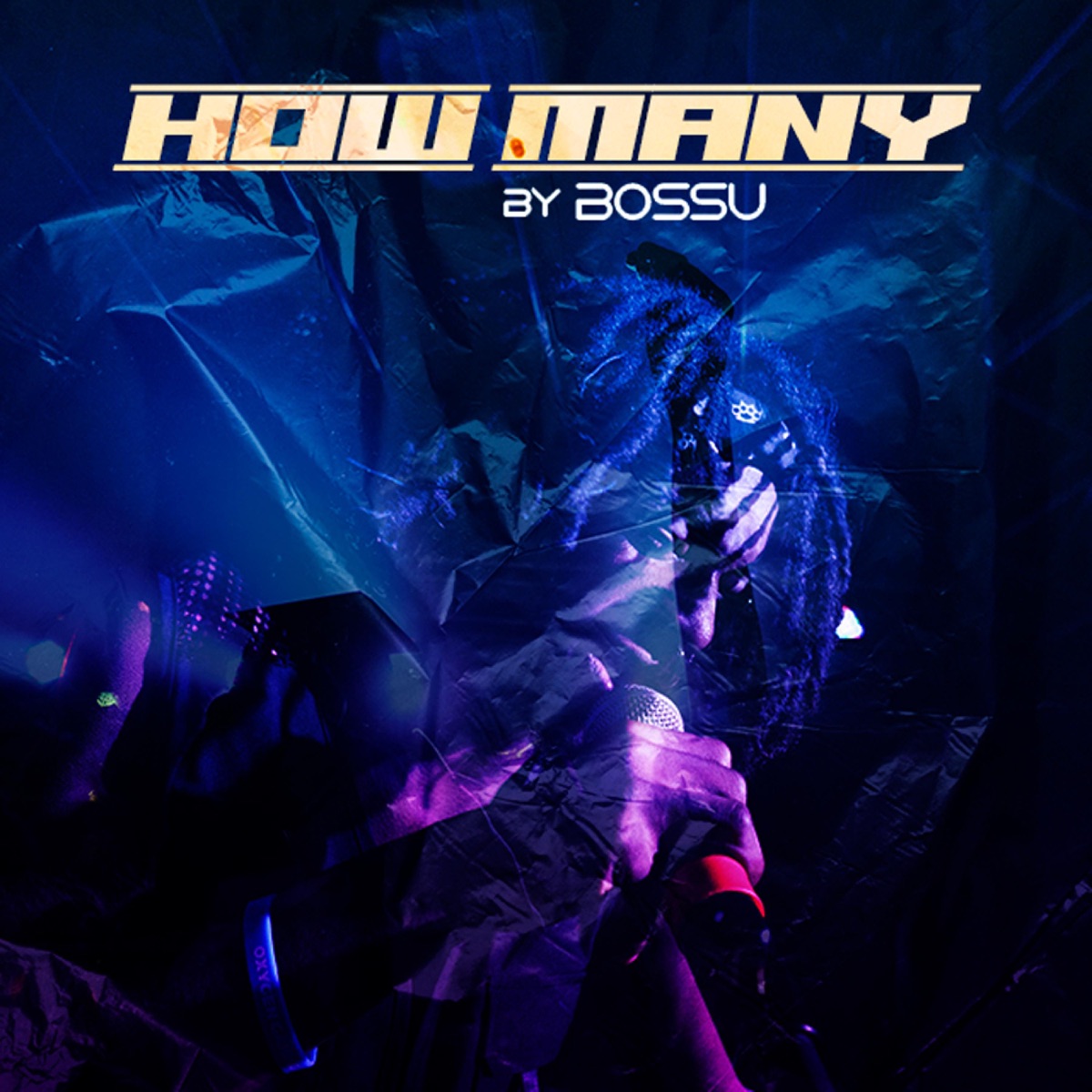 How Many - Single by Bossu SG album cover
