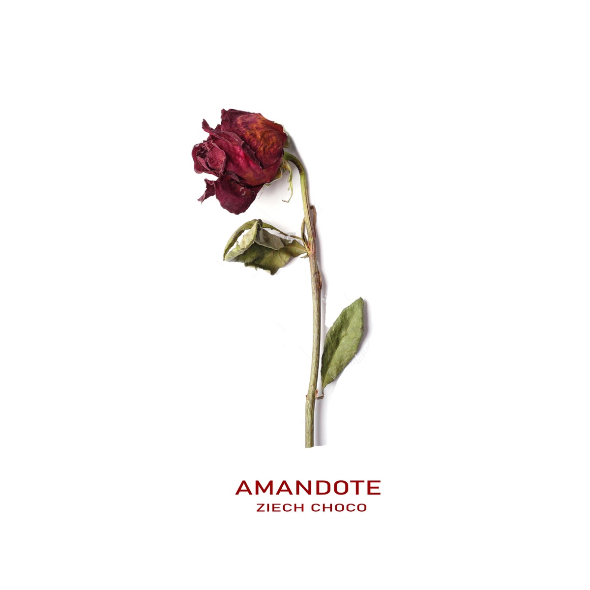 Amándote - Single by Ziech Choco album cover