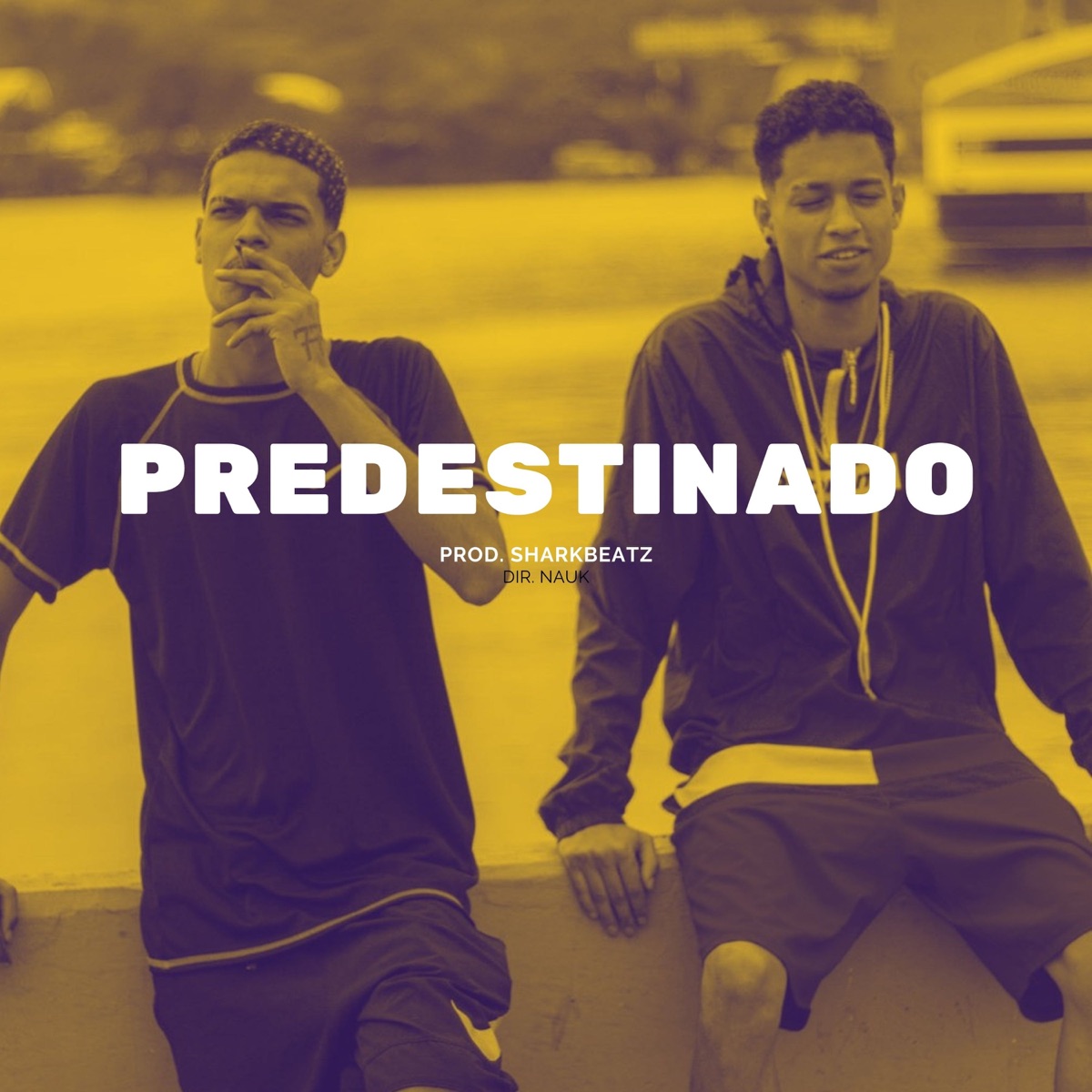 Predestinado - Single by Eo Ppt & Kaeni Mc album cover