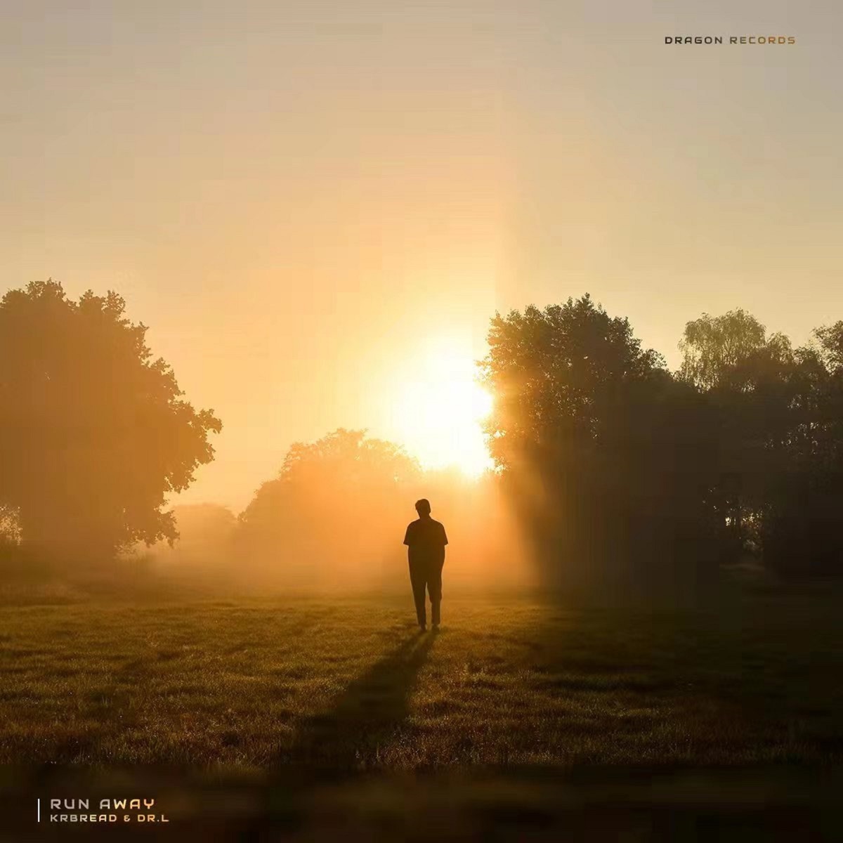 Run Away - Single by Krbread & DR.L album cover