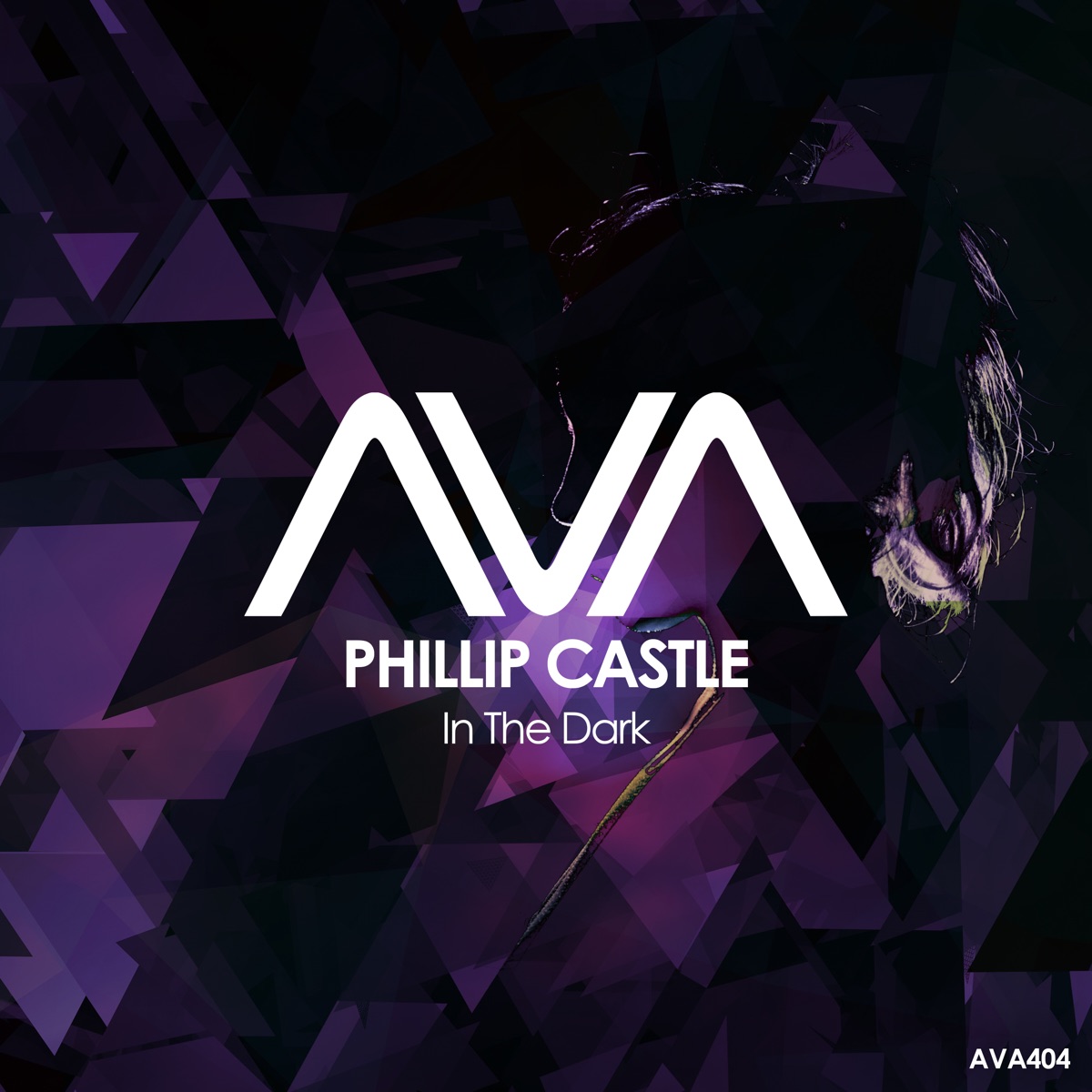 In the Dark - Single by Phillip Castle album cover