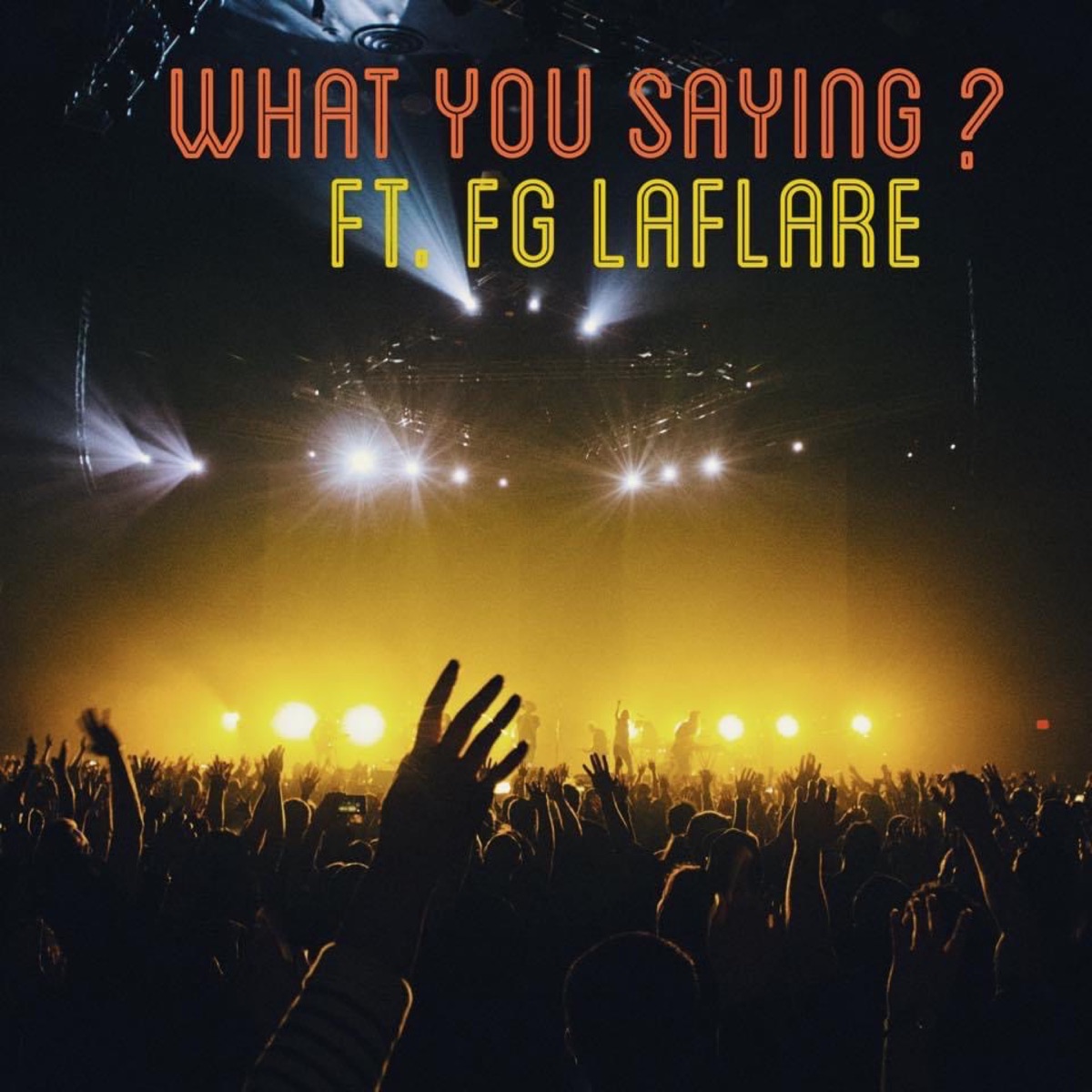 What You Saying (feat. FG Laflare) - Single by Superstar Narley album cover