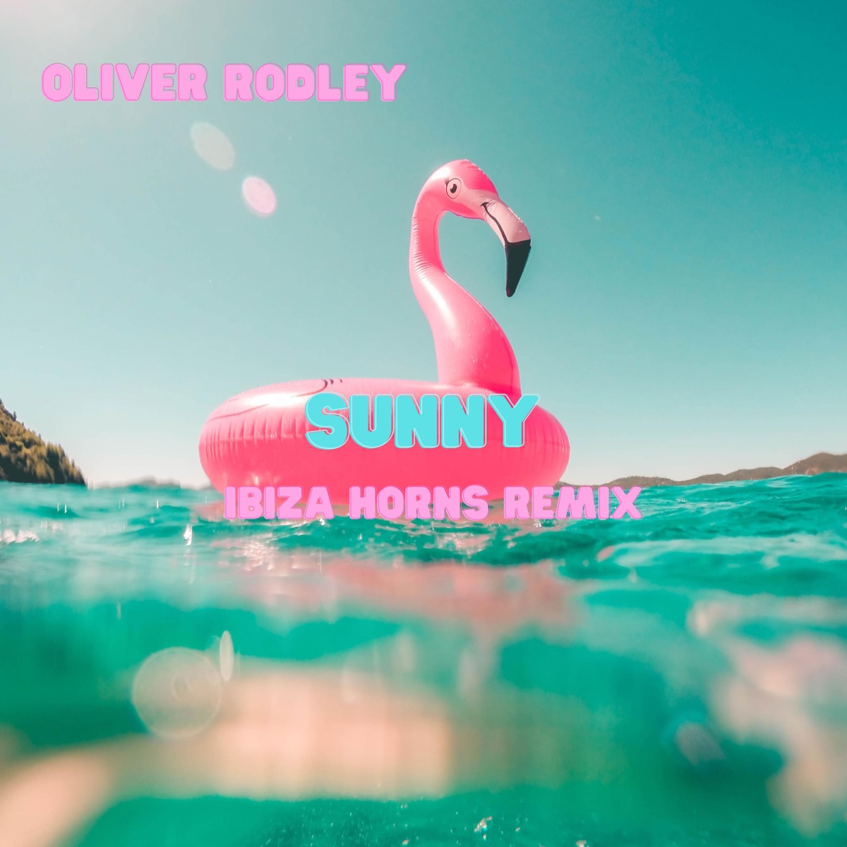 Sunny (Ibiza Horns Remix) - Single by Oliver Rodley album cover